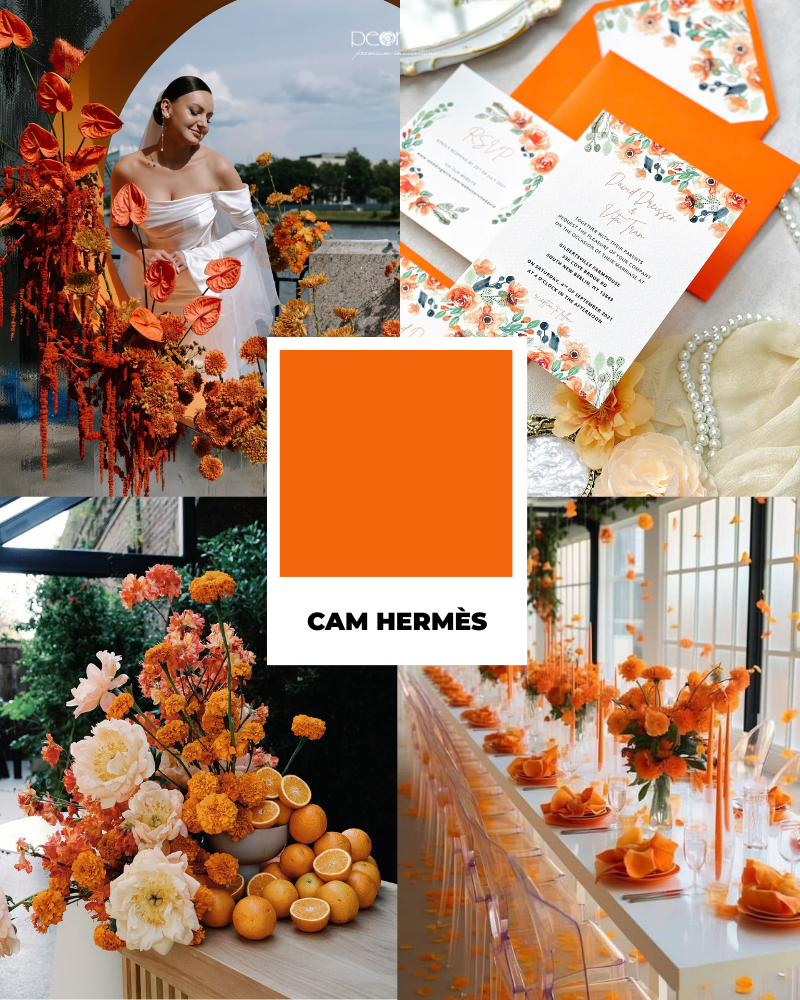 5 màu sắc ấn tượng và quyền lực dẫn đầu xu hướng cưới 2026 2 xu huong mau cuoi 2026 3